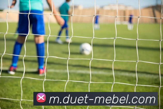 App Interface Preview